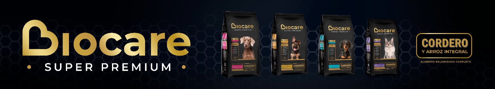 IMG-20250123-WA0062 – Santiago Escudero